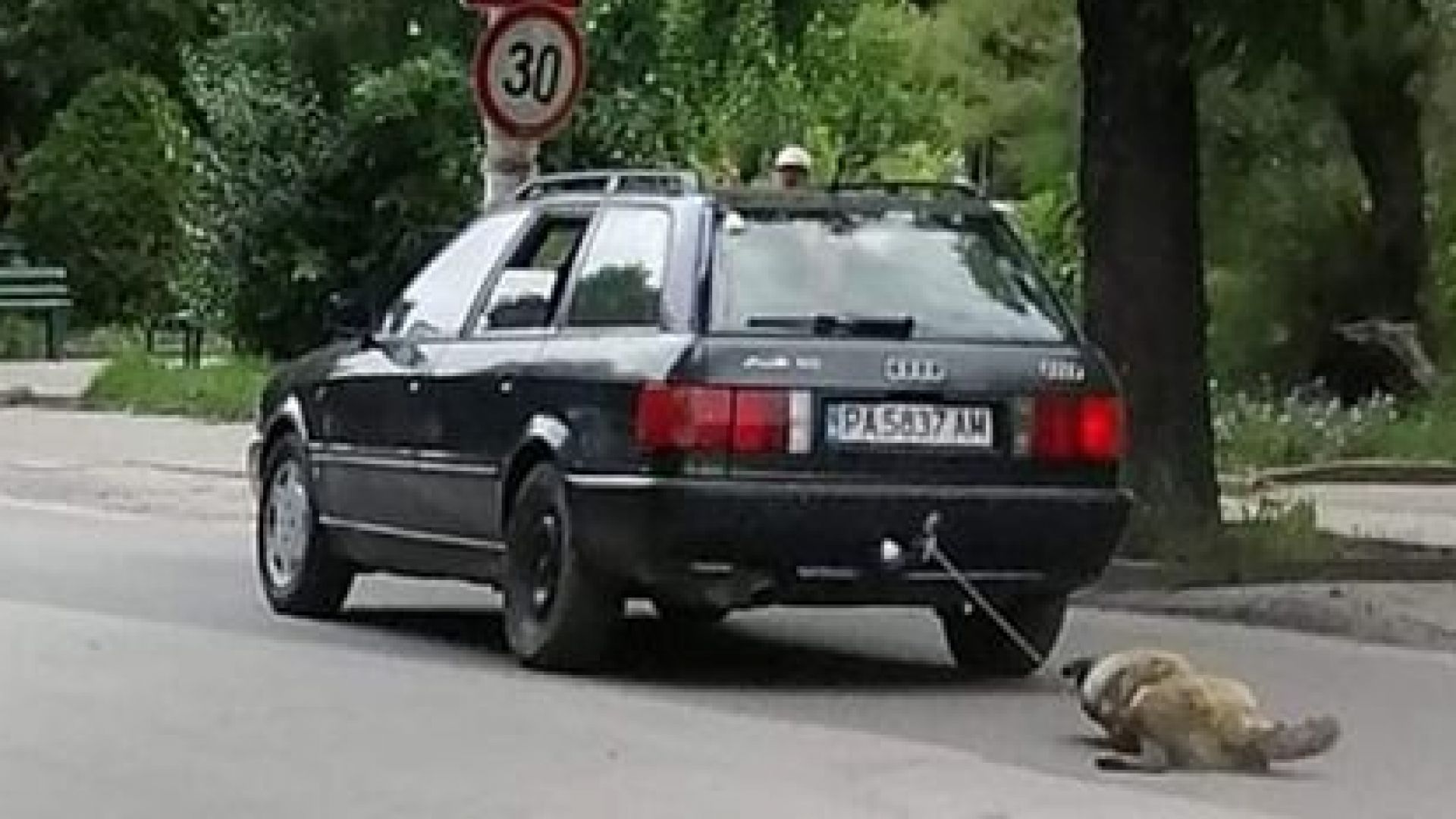 Четвърто зверство над куче е извършено в рамките на седмица