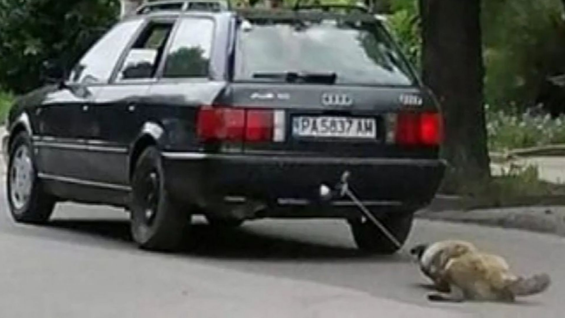 Полицаи от РПУ-Пазарджик задържаха мъжа, влачил куче с автомобила си,