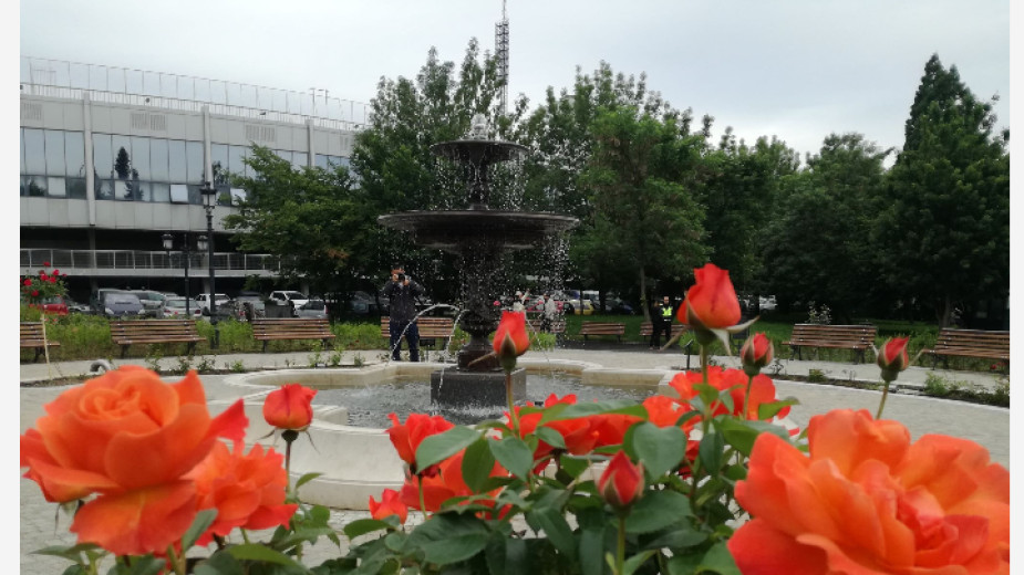 Розариумът е магнит за преоткриване на Борисовата градина