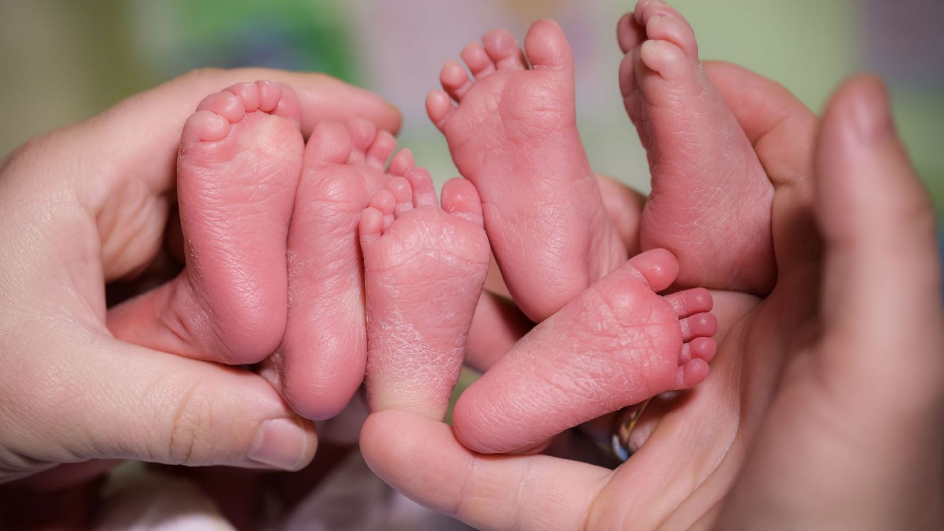 Тризнаци проплакаха вчера в столичната Първа АГ болница Света София