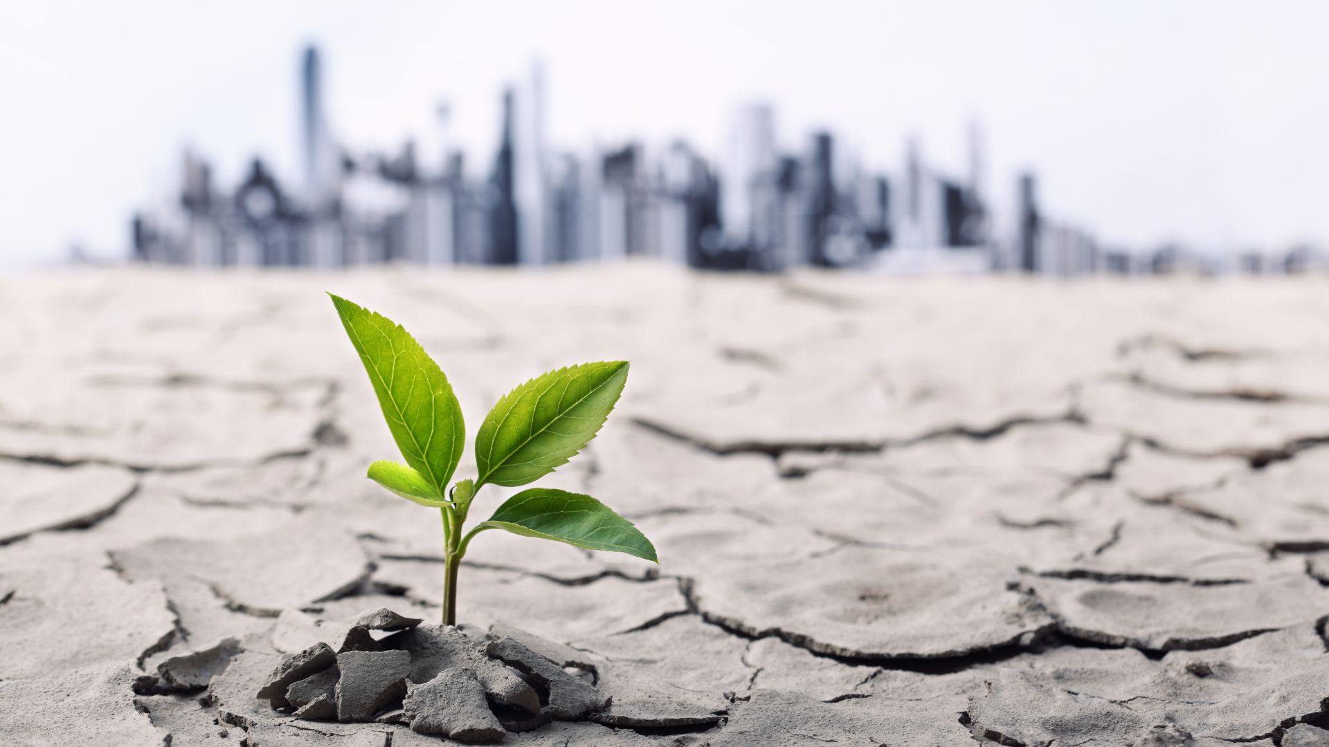 Човешката цивилизация може да изчезне до 2050 г показва ново