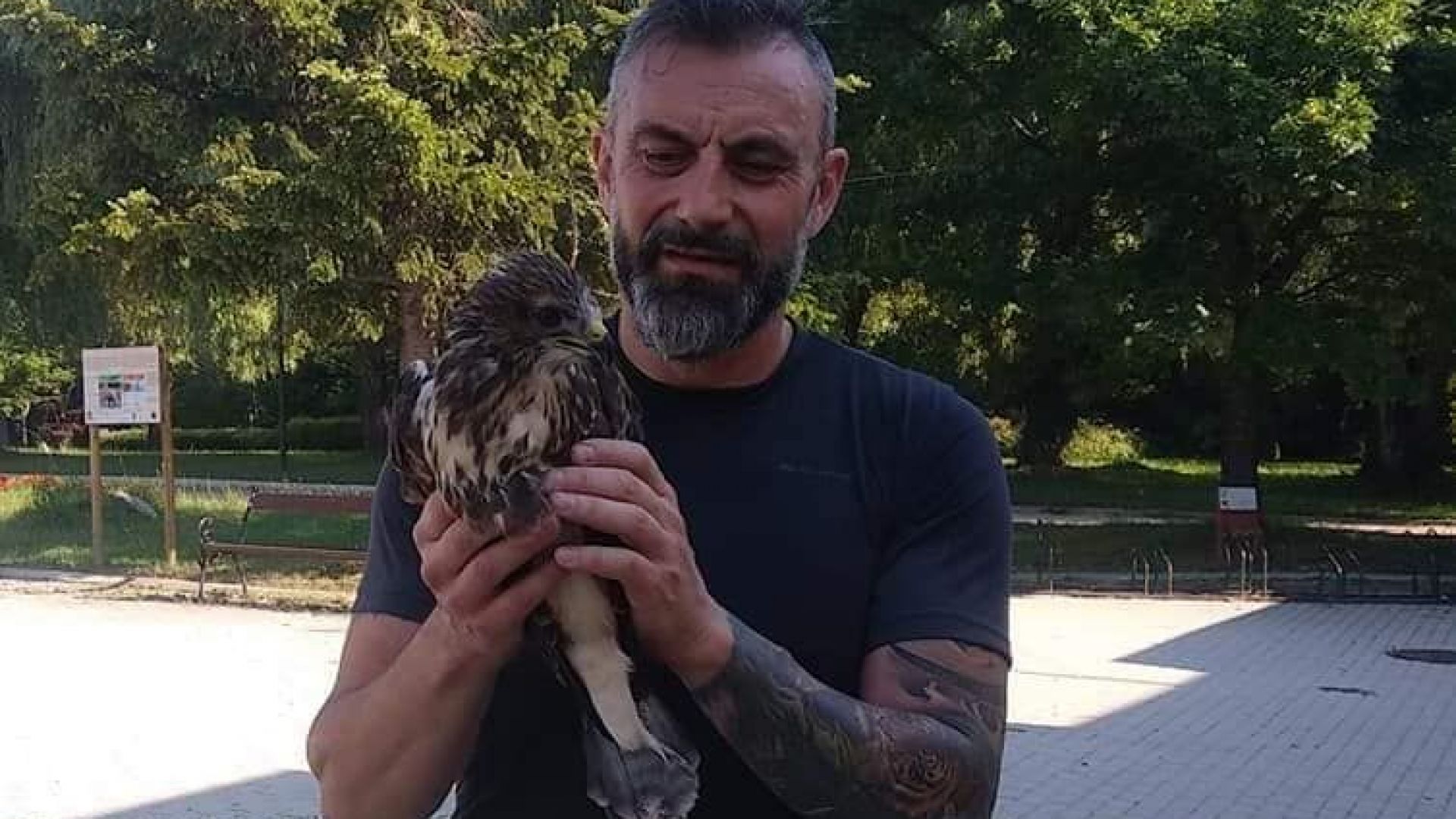 Известният перкусионист Калин Вельов спаси безпомощен мишелов който най вероятно е