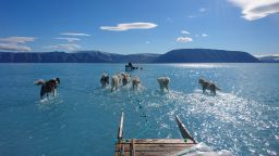 Гренландия се топи с невиждани темпове, кучетата ходят "по вода"