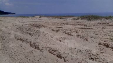 Багер разора дюни на Камчия, екоминистърът нареди проверка