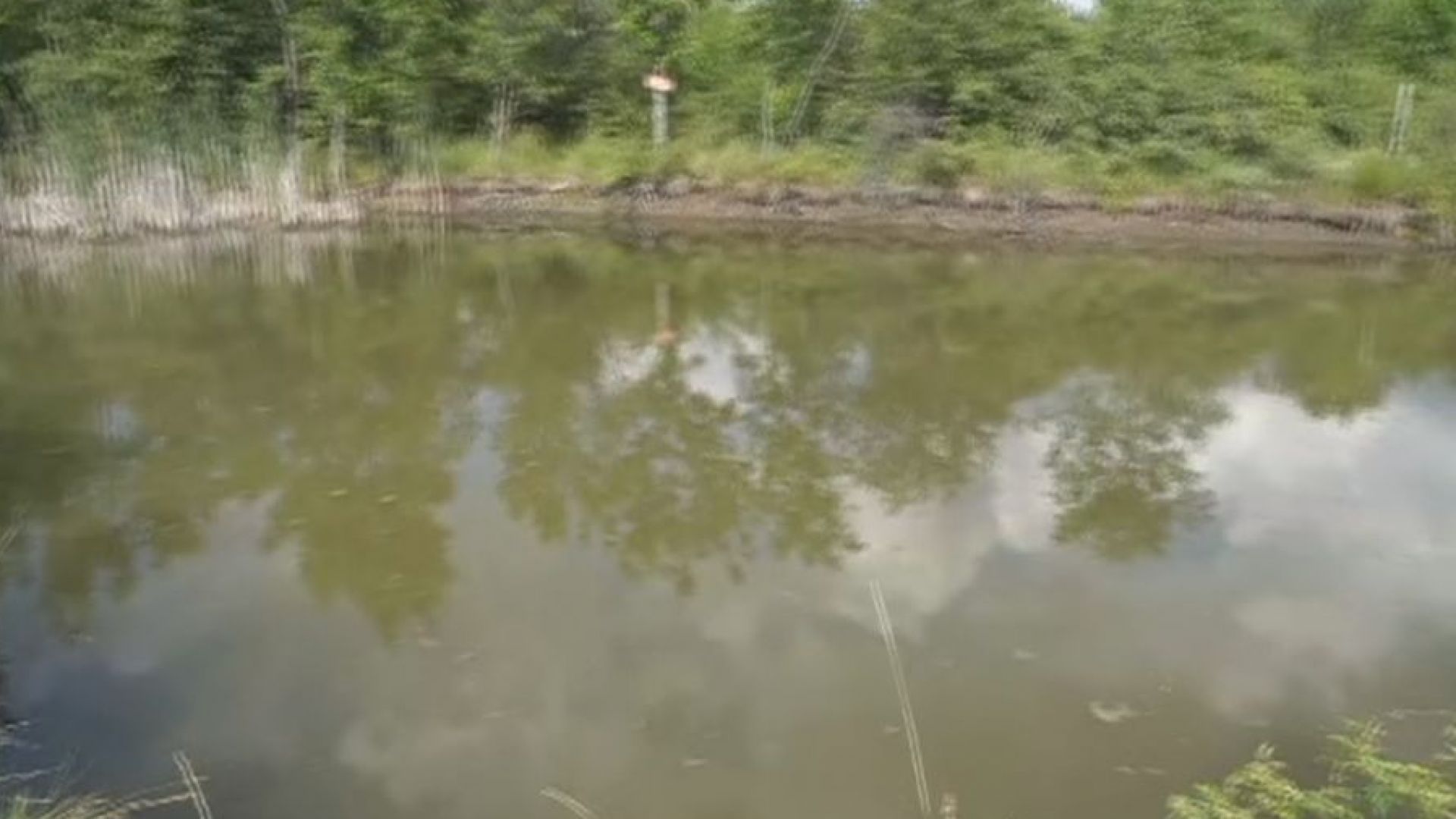 Момче се удави в микроязовир край монтанското село Габровница Това