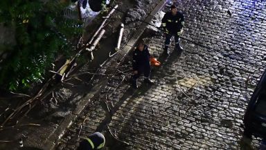 Мощната нощна буря в София съборила дървета (снимки/видео)  
