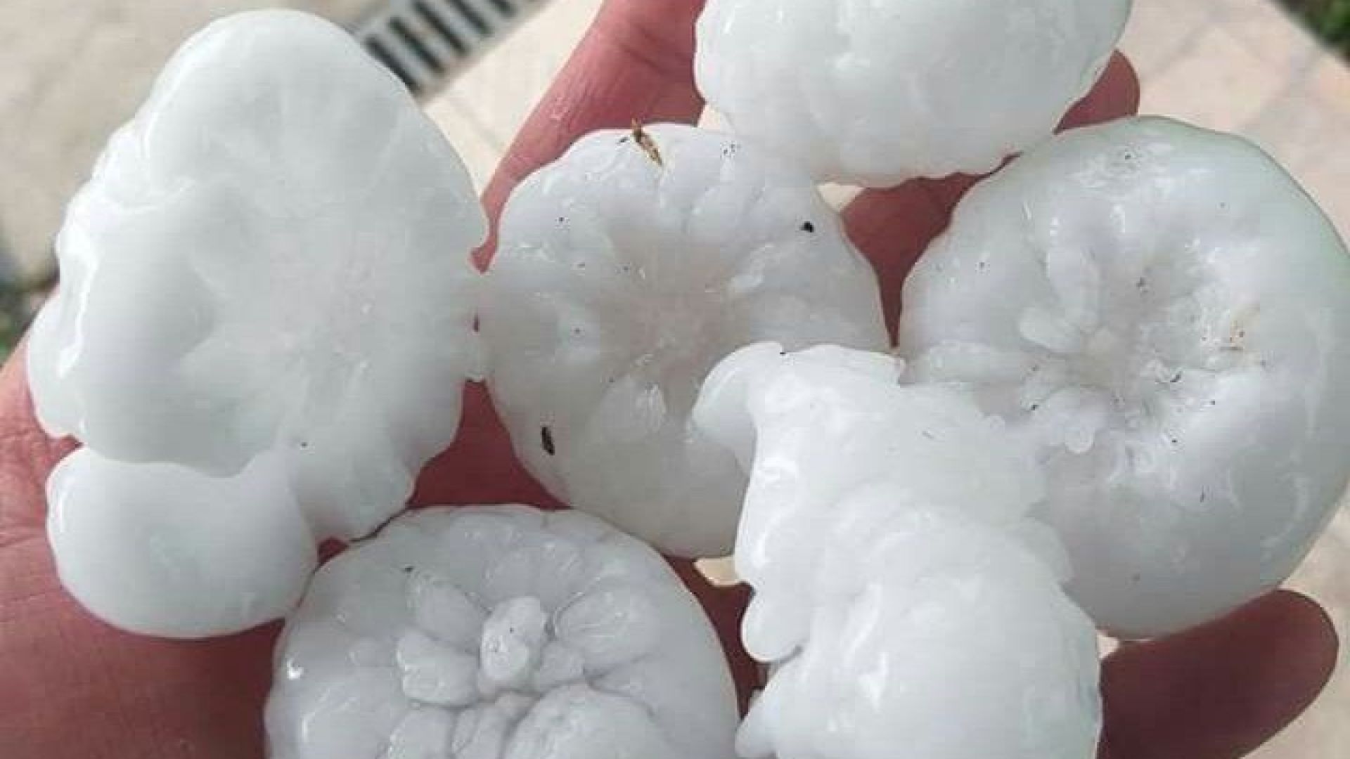 Наводнени детски градини преливаща канализация съборени дървета и ледени буци