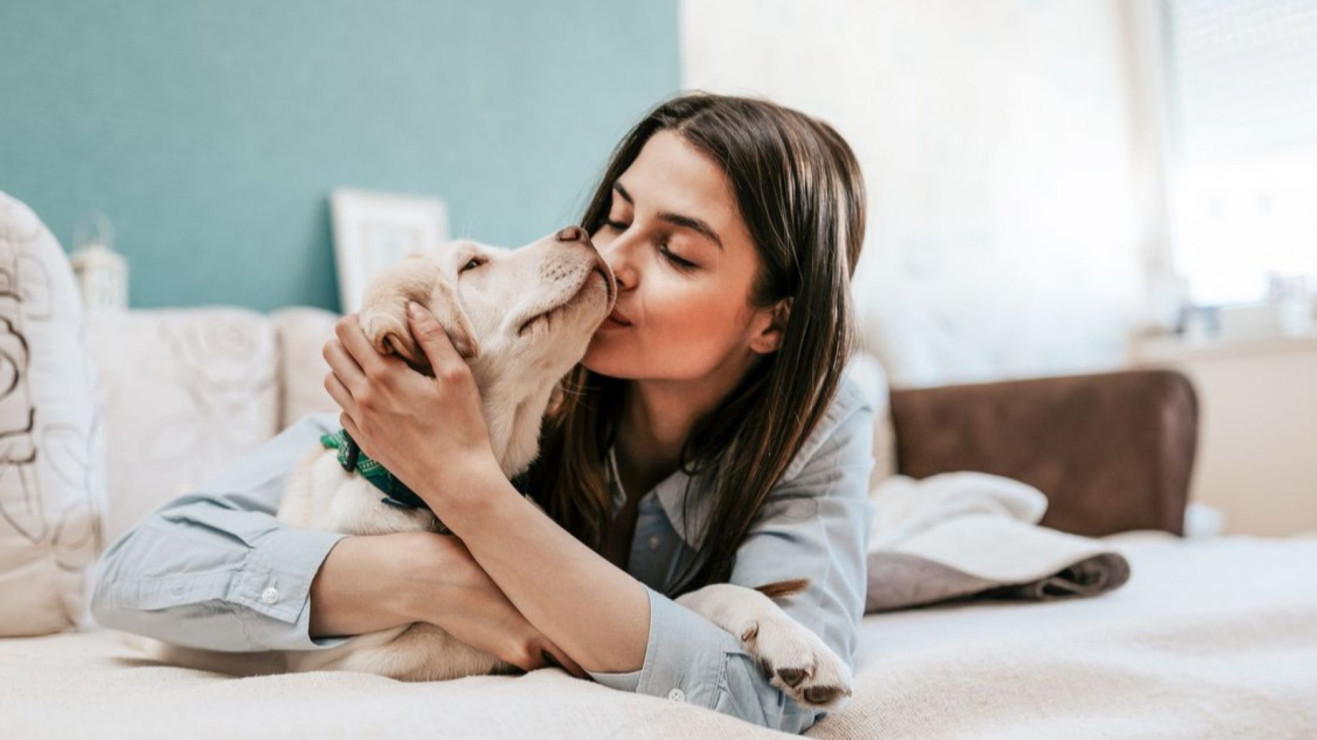 Изборът на куче – труден като любовта