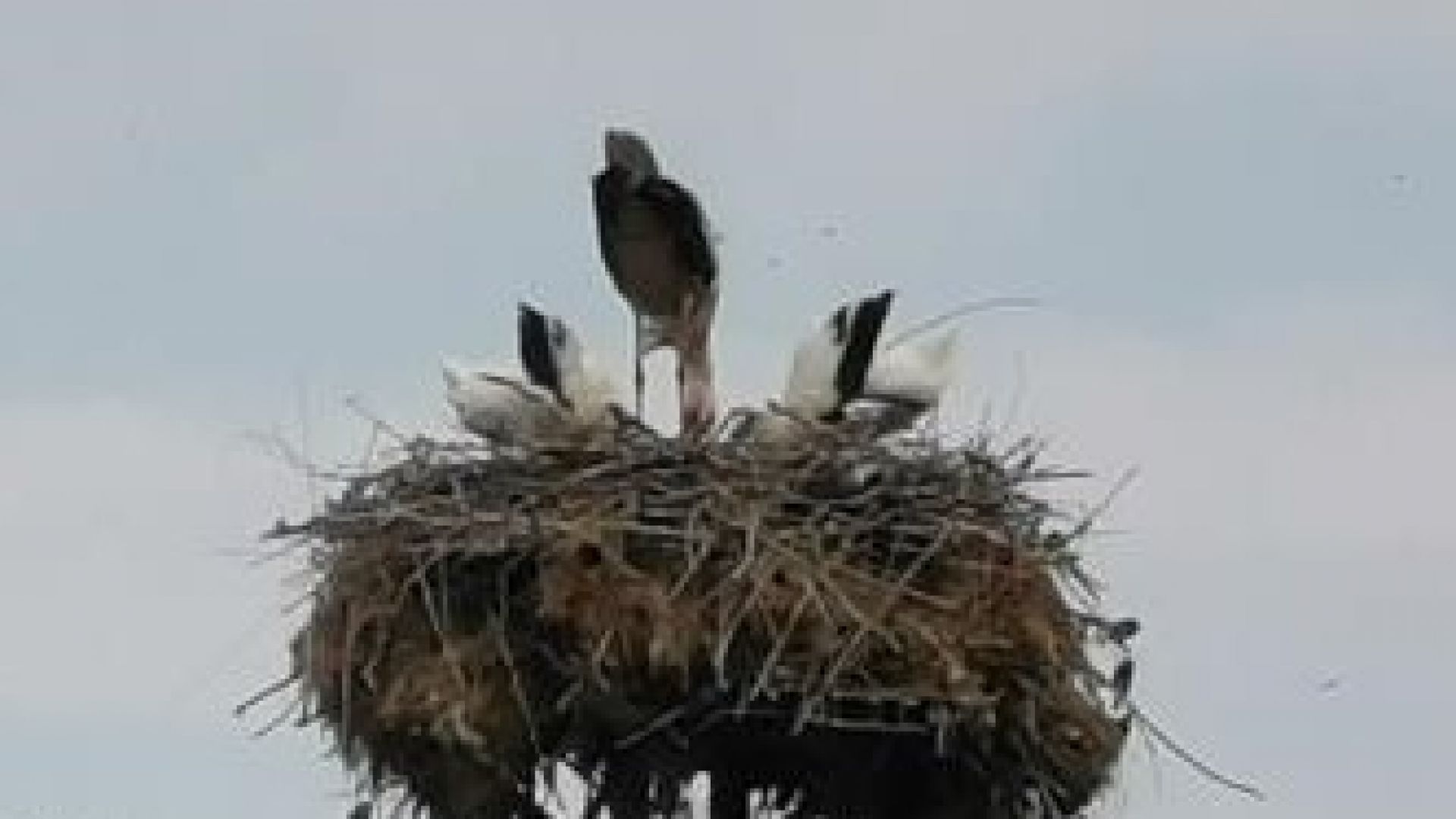 Експерти от РИОСВ Пловдив извършиха незабавна проверка по сигнал