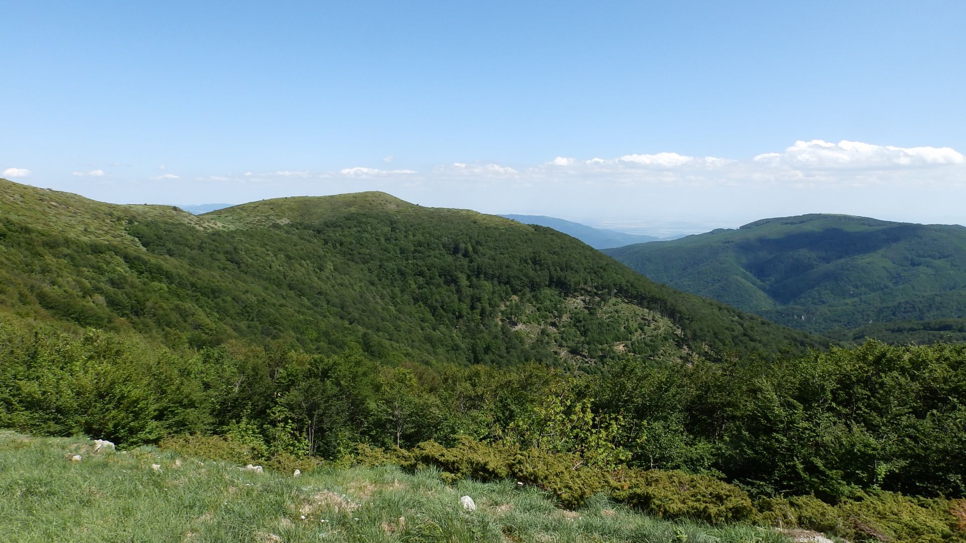 77 годишен мъж от град Дебелец оцеля като по чудо 5