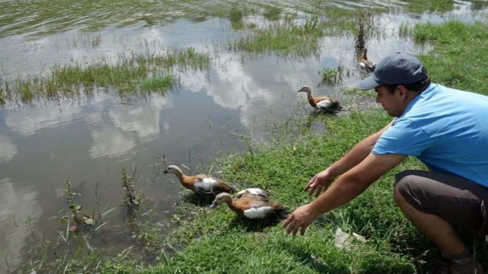 В Регионална инспекция по околната среда и водите Русе постъпи молба