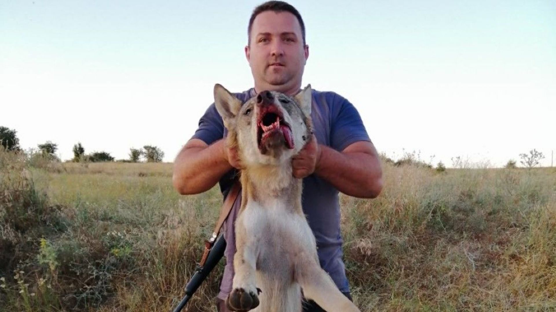 Около 70 килограмов вълк бе повален с един изстрел от 32 годишният