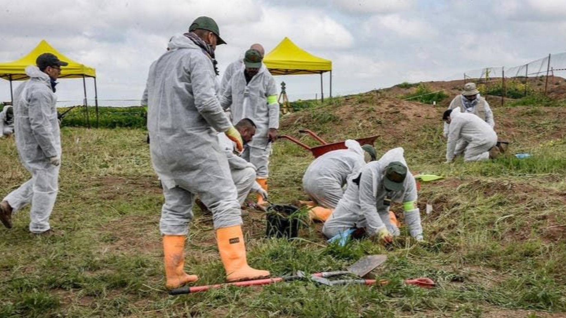 Археолози откриха човешки останки в Румъния до район с масов гроб