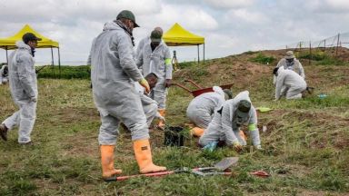  Археолози откриха човешки остатъци в Румъния до регион с всеобщ гроб 