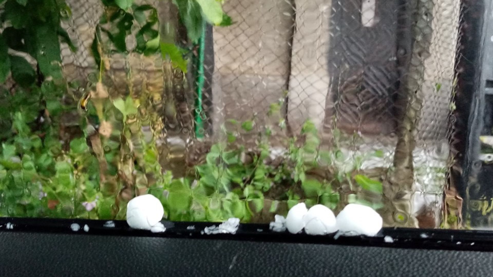 Едра градушка се изсипа над части от София вчера Ледените