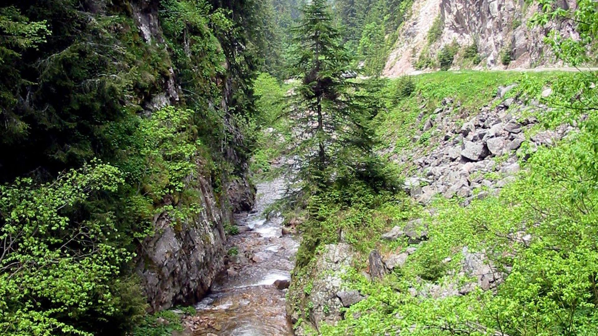 Над 30 служители на полицията и пожарната в Смолян както и