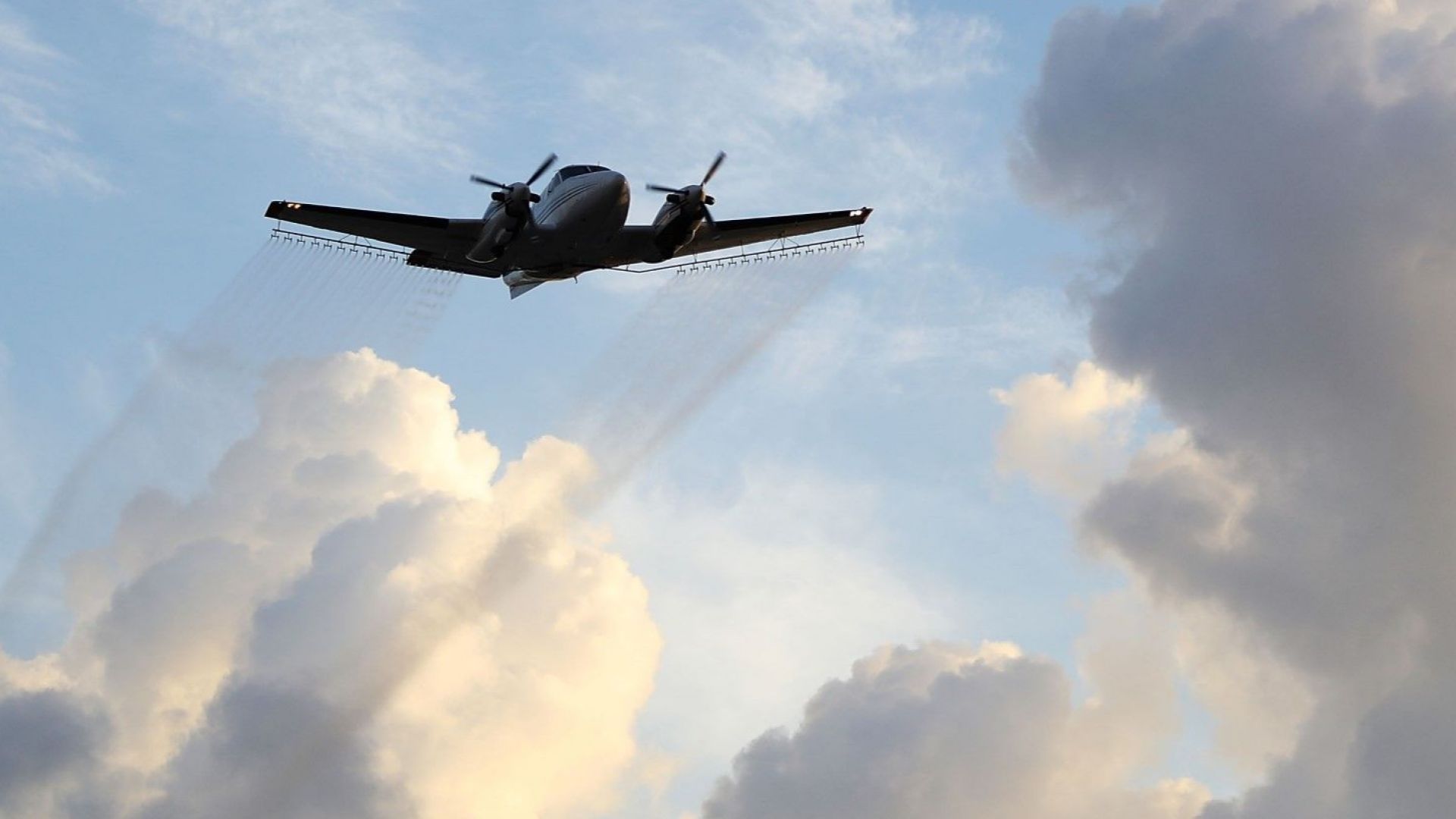 Българската агенция по безопасност на храните съобщи че днес 4