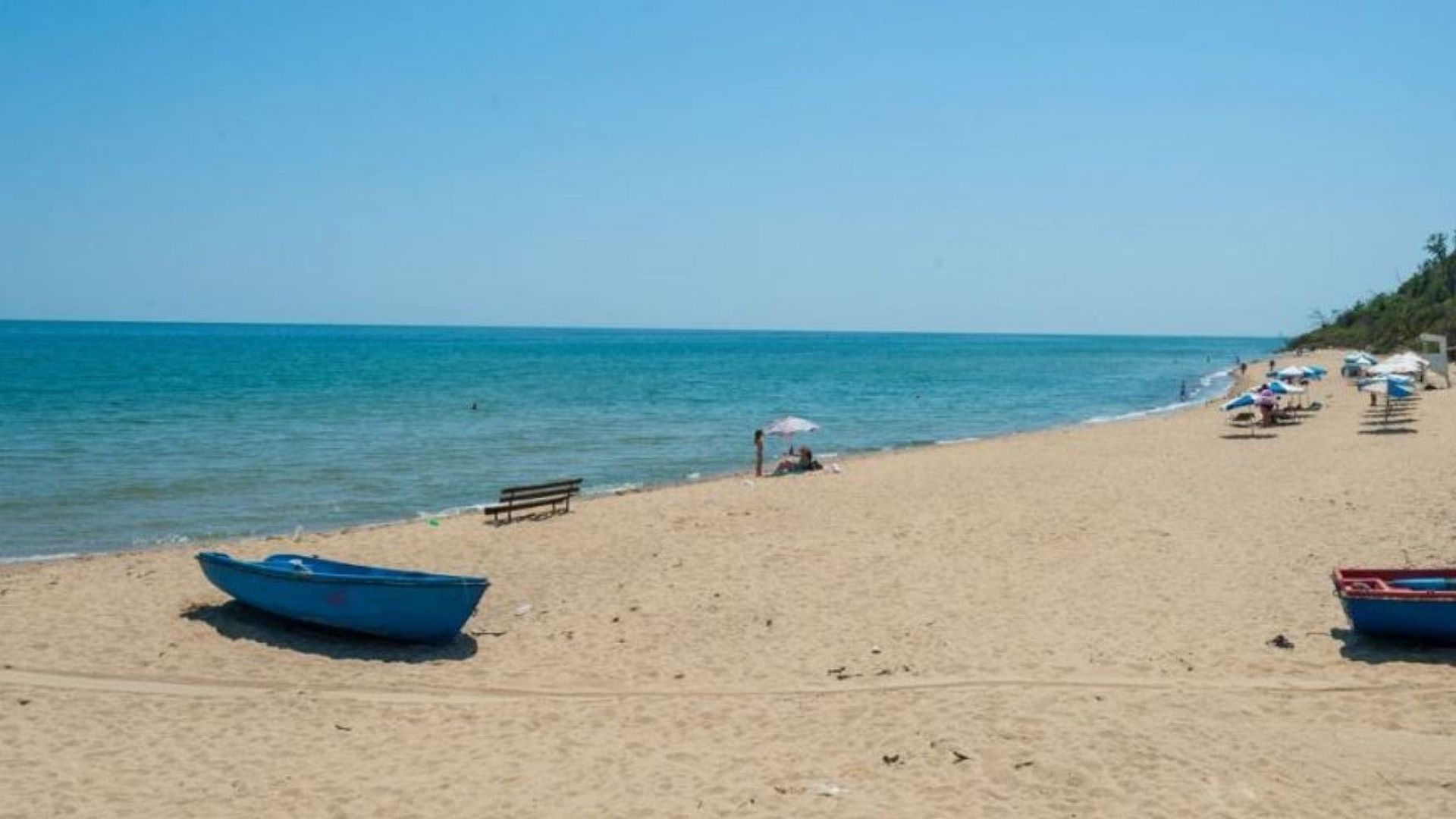 Мъртви животни са изплували на пясъчната ивица край Обзор вчера