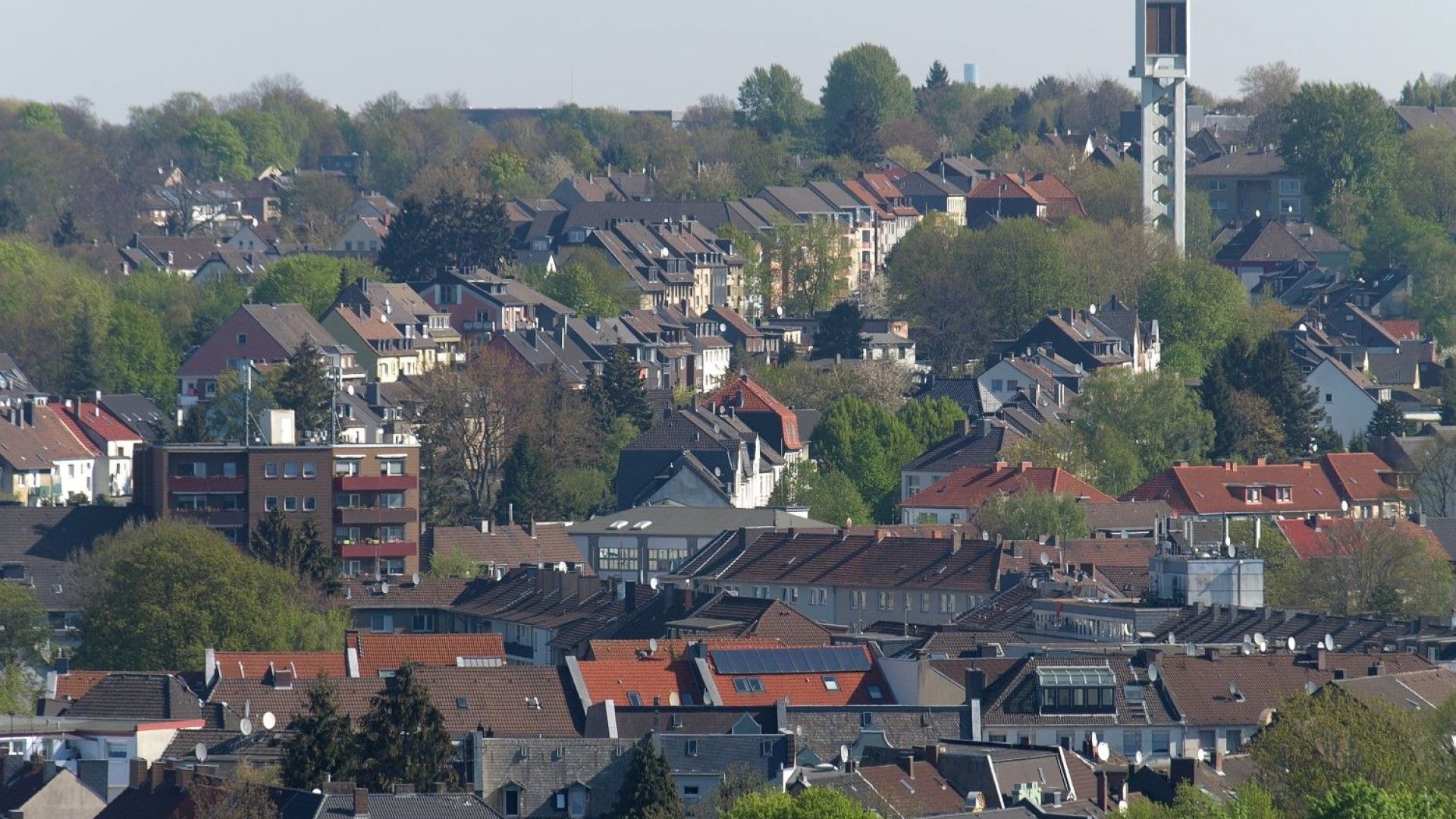 Какви са фактите Пет момчета две 12 годишни и три 14 годишни