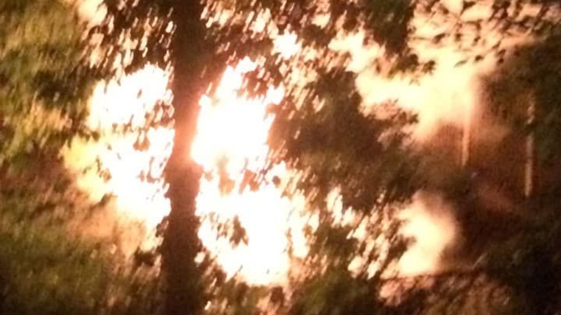 Неизвестни запалиха лекия автомобил на председателя на Комитета за култура