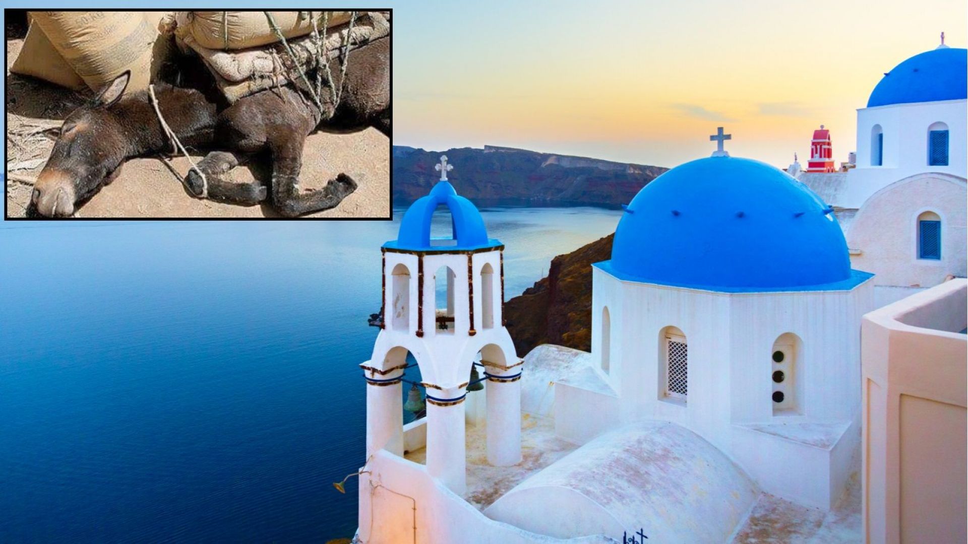 Бият ги карат ги да мъкнат товари по 20 часа