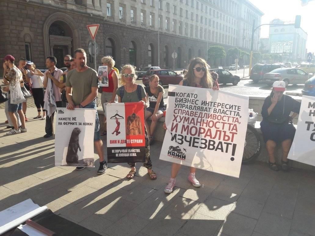 Протестиращите разкриват, че дори Сърбия и Македония са забранили фермите за ценни кожи
