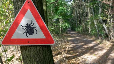 В едно от столичните лечебни заведения е било доведено 4 годишно