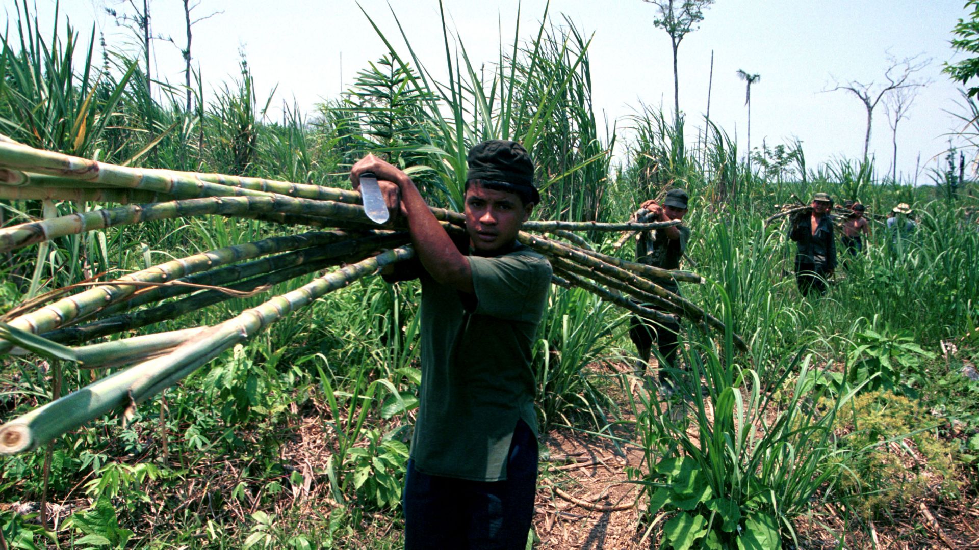 Седнал на маса отрупана с пилешко месо маниока и пържени