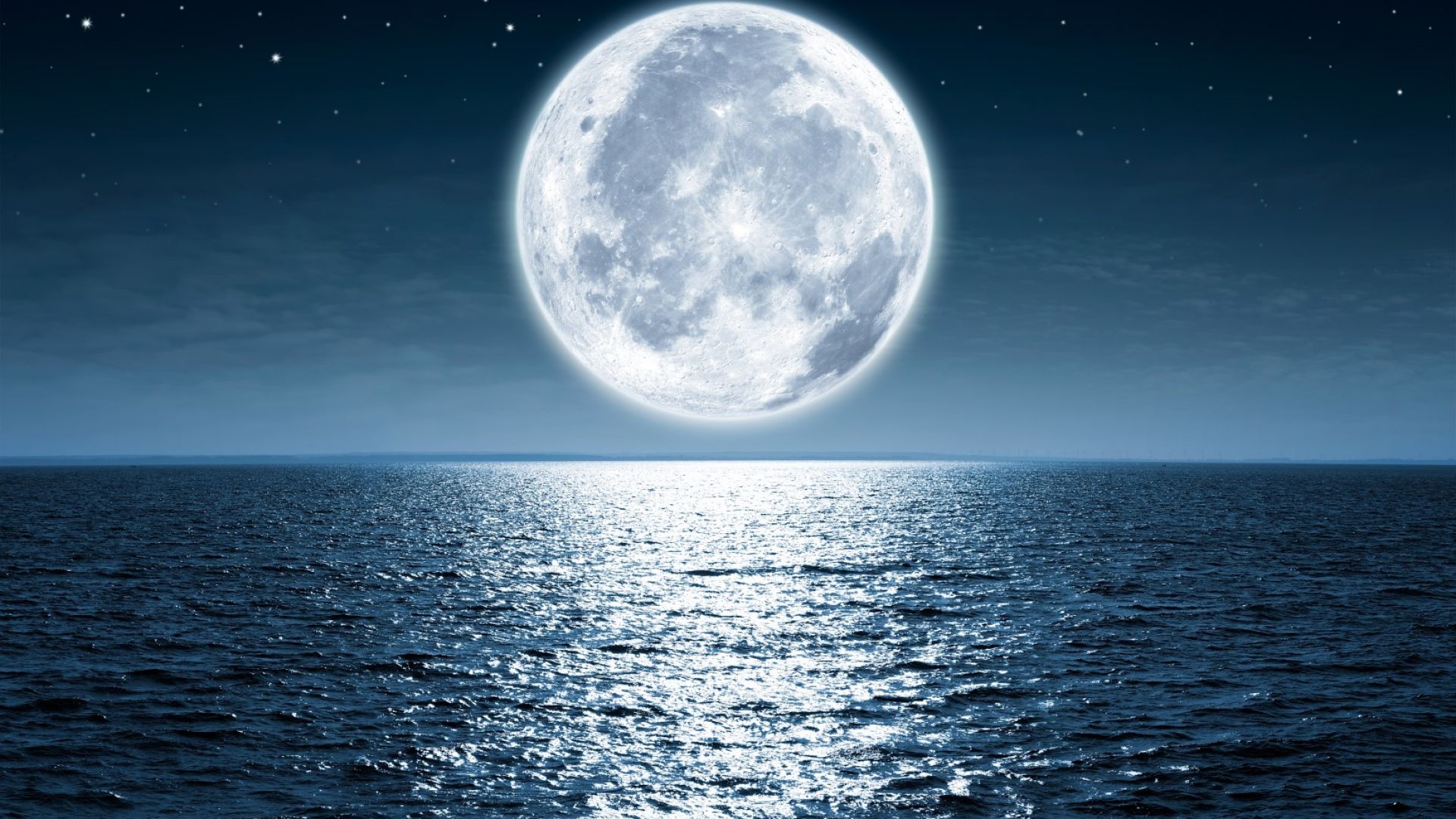 Лунната светлина влияе на жизнения цикъл на много растения и животни