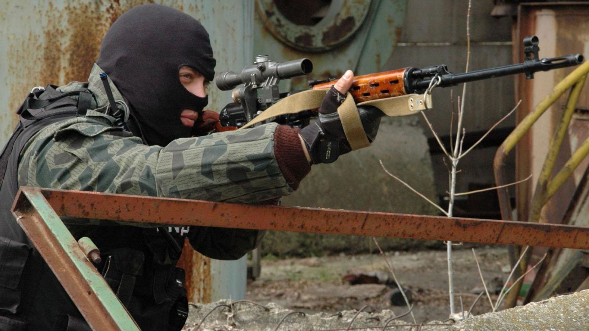 За разпространението на африканската чума по свинете вероятно има проявена