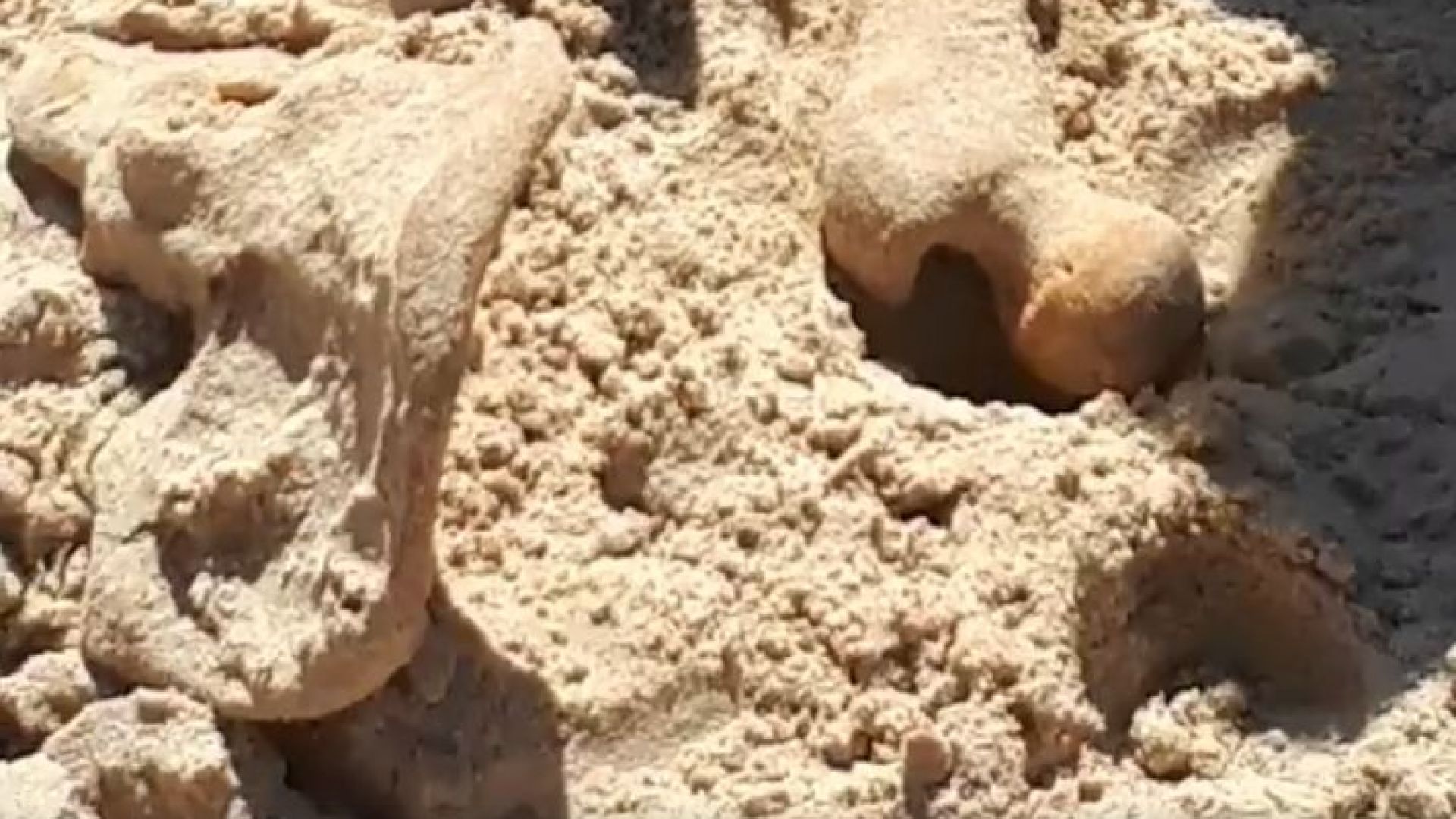 Деца откриха кости на плаж Атлиман в Китен. Най-вероятно останките