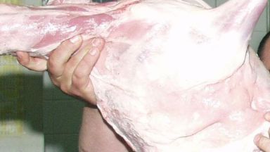 В Русенско се продава агнешко месо основно от български производители