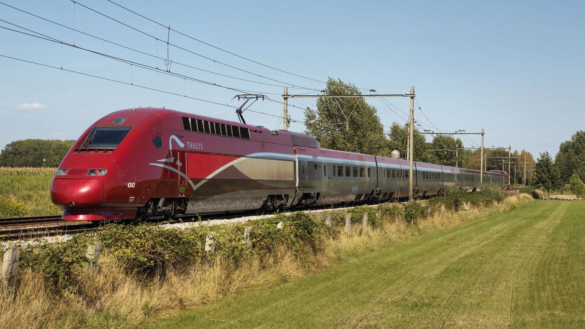Френско белгийската железопътна компания Талис обяви че спира продажбата на билети