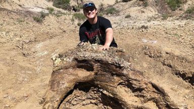 Студент откри череп на динозавър на 65 млн. години