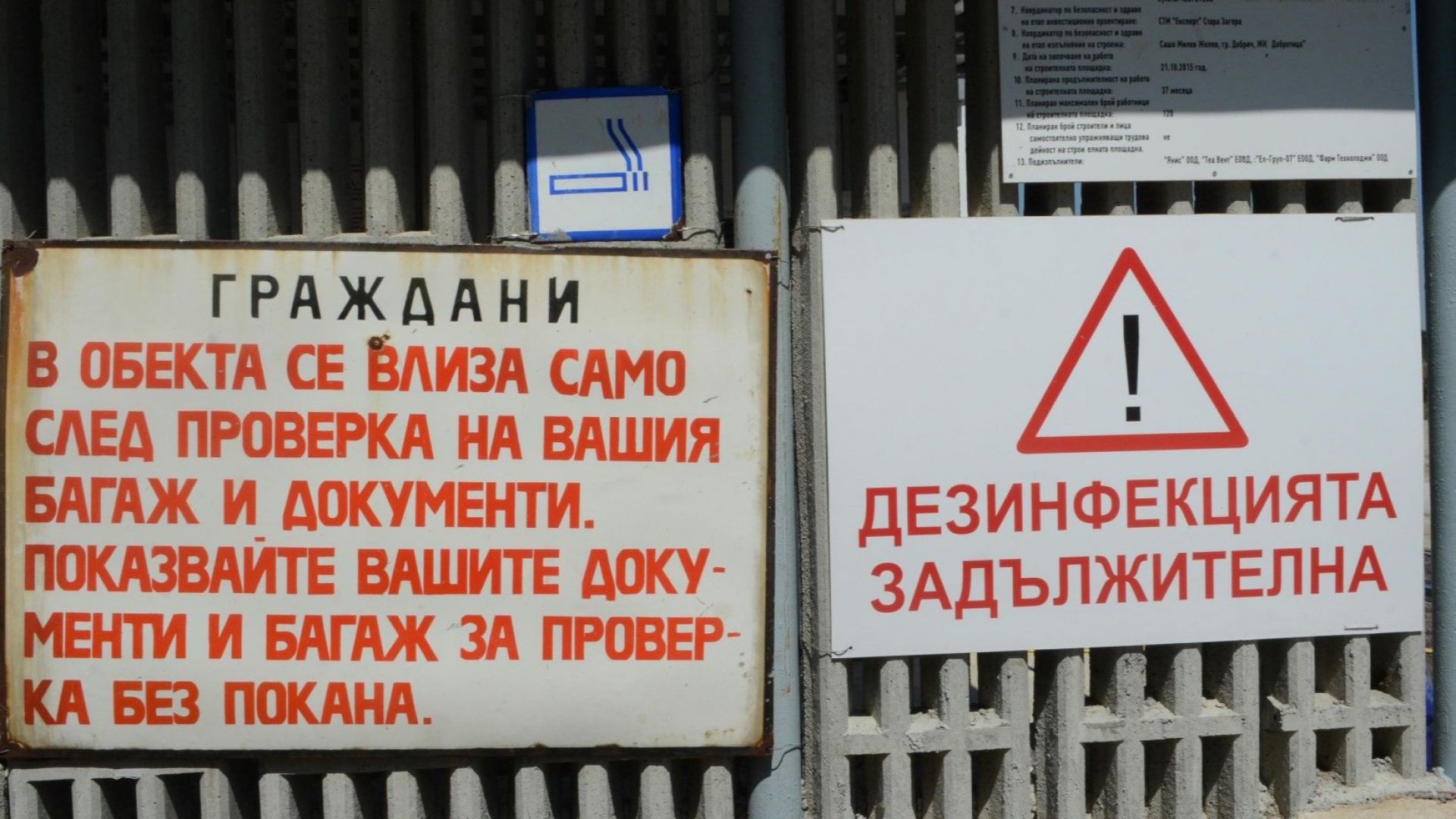 Във Видин е открито огнище на болестта африканска чума по