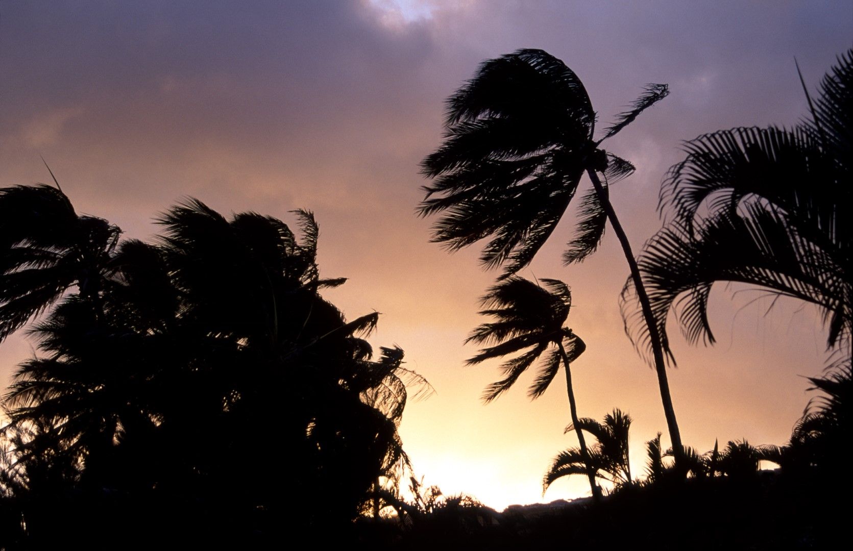 Хаваите често биват удряни от тропически циклони