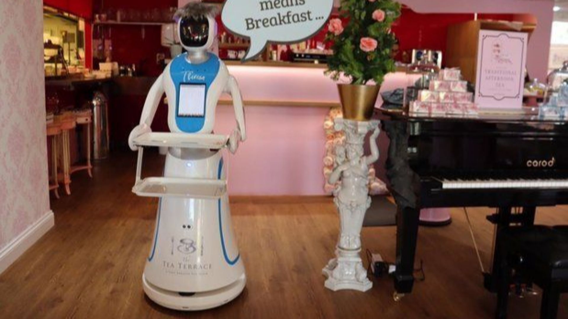 Британски ресторант има робот-сервитьорка, кръстен на Тереза Мей (видео)
