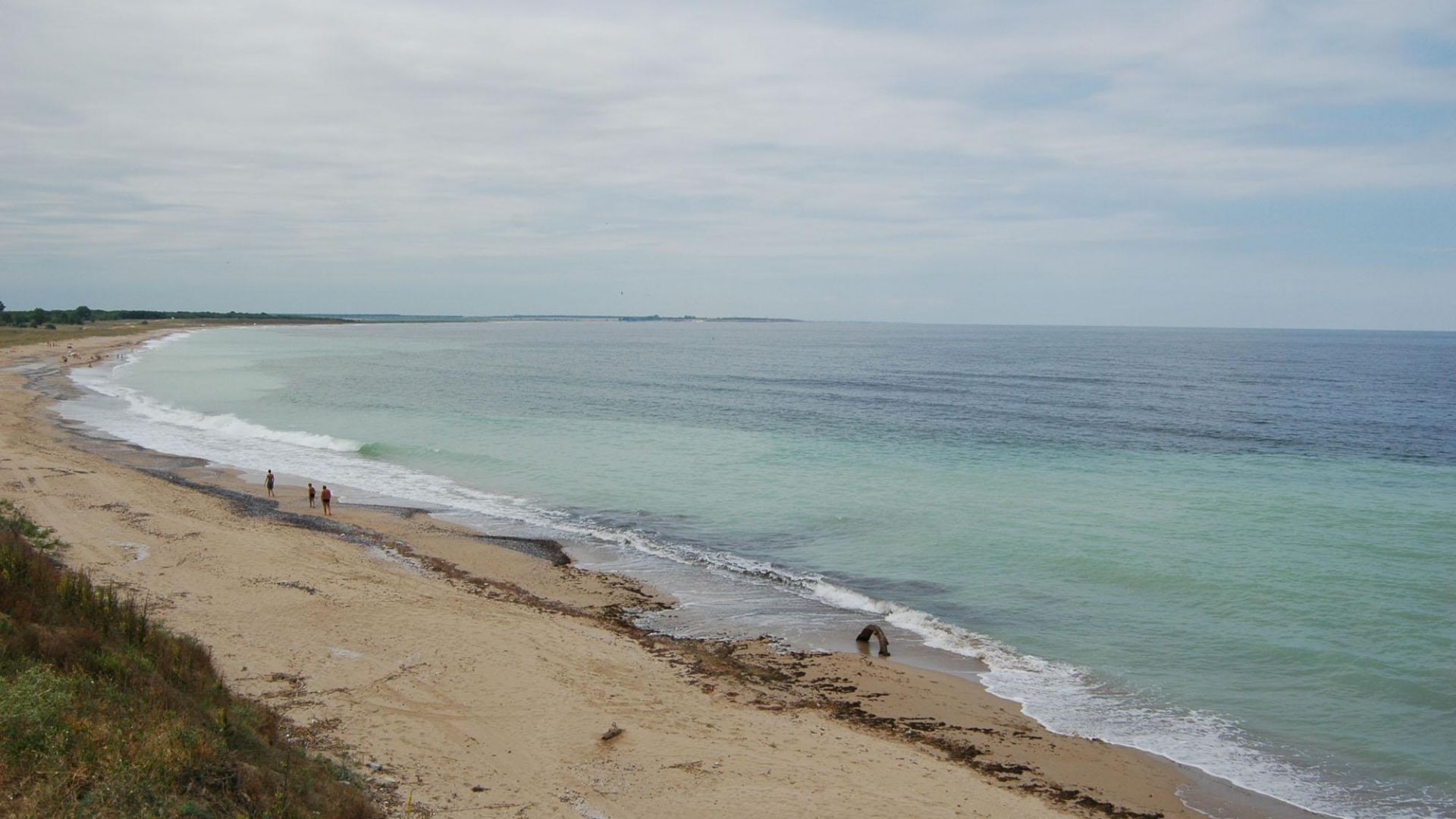 Мъртви кози с румънска маркировка изхвърли морето край Дуранкулак Сигнал