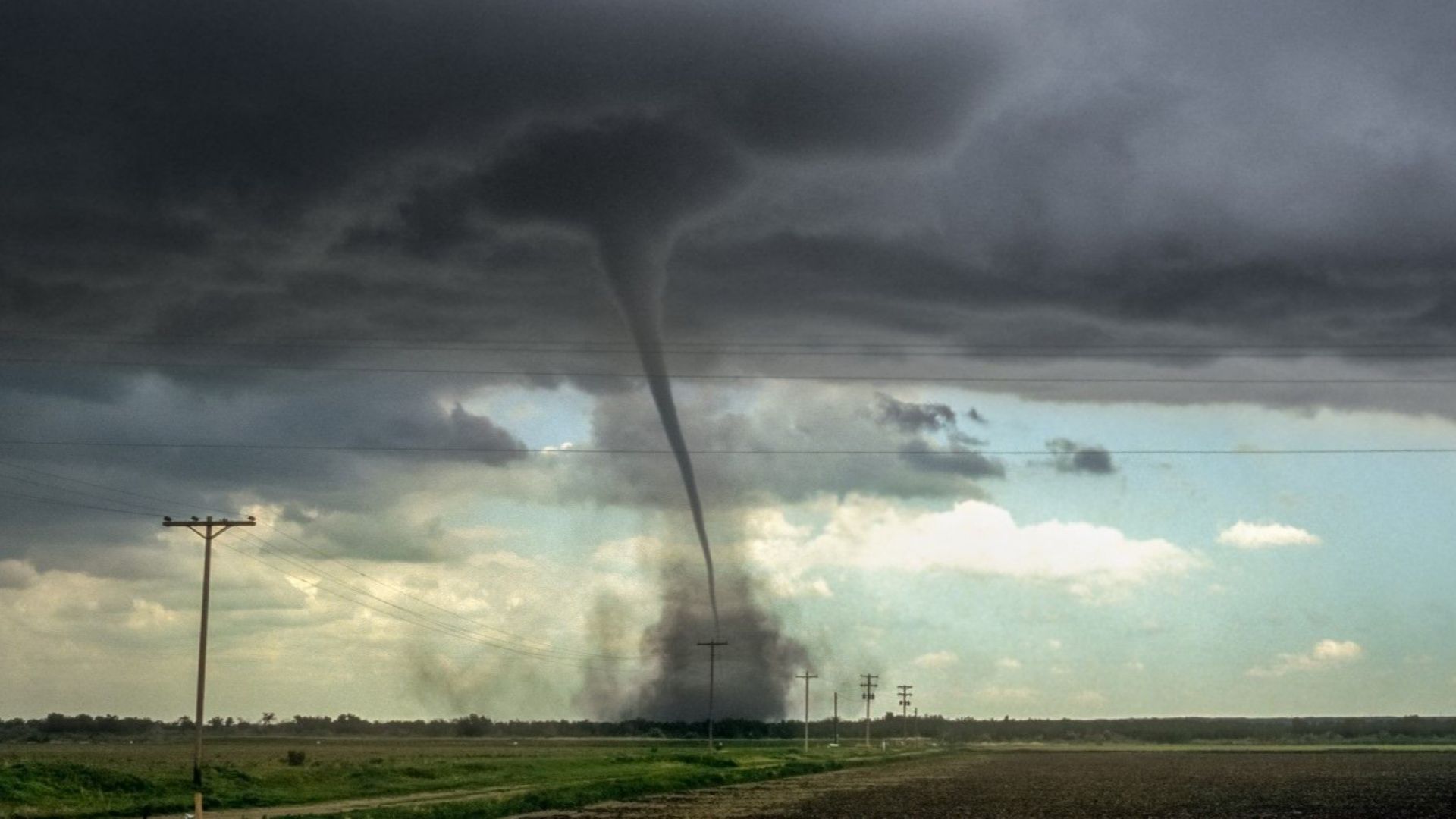 Торнадо отвя складовете на цяла фабрика за зехтин в градчето