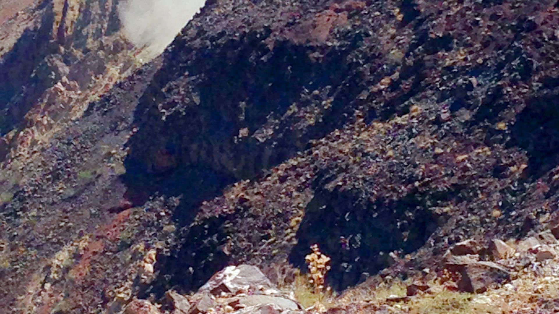 Американски изтребител се разби в Националния парк Долината на смъртта