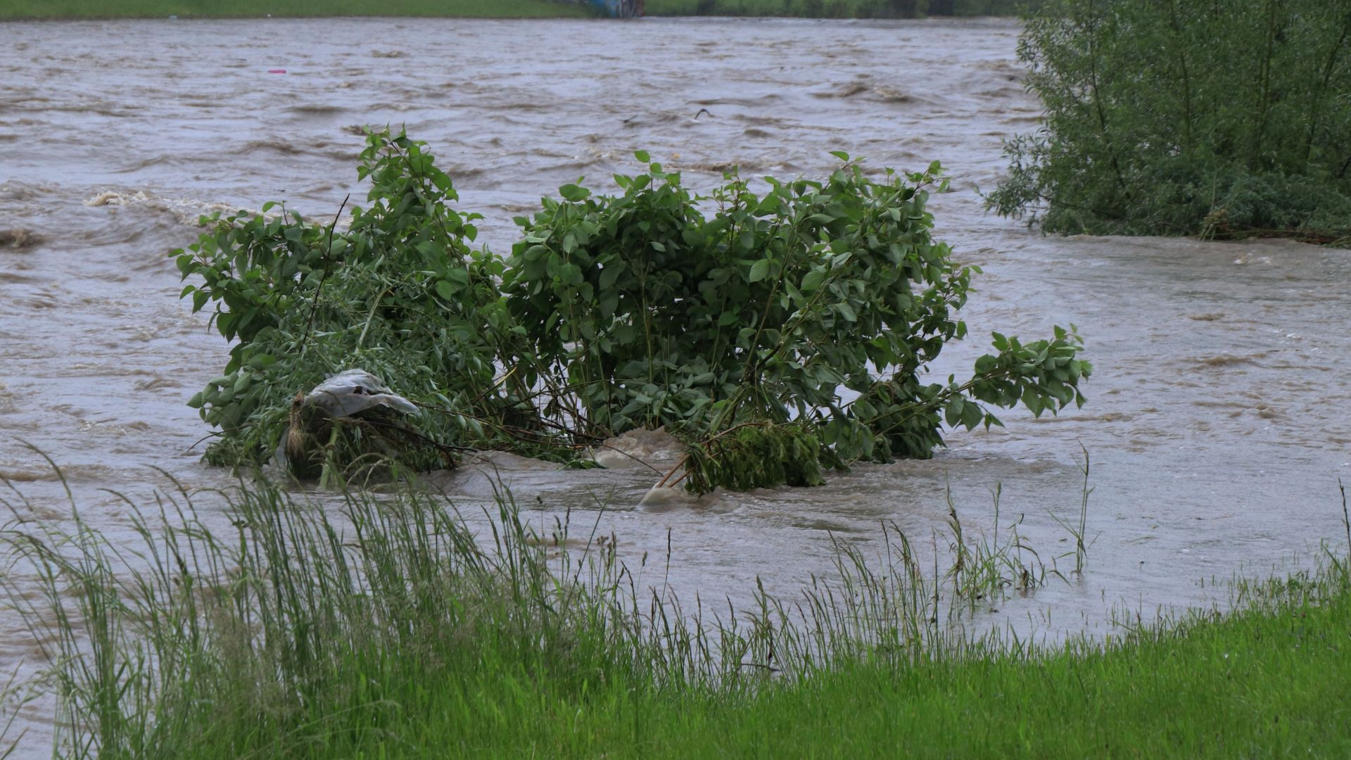 Пловдивски пожарникари спасиха две момченца от водите на река Въча