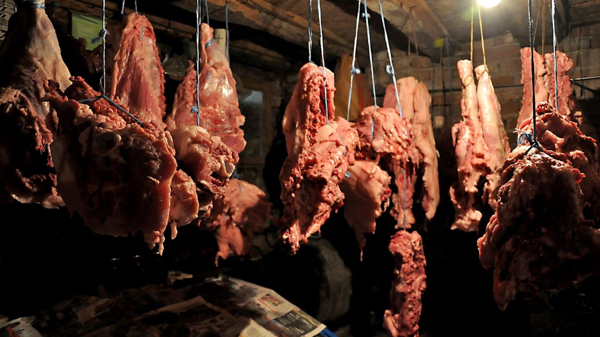 Ситуацията наистина е сериозна Африканска чума има Всички протоколи от