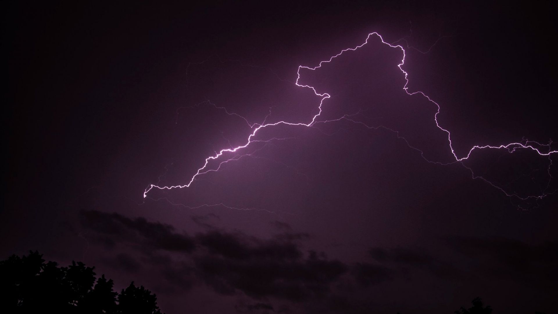 Mъж издъхна затиснат от паднало дърво в близост до село