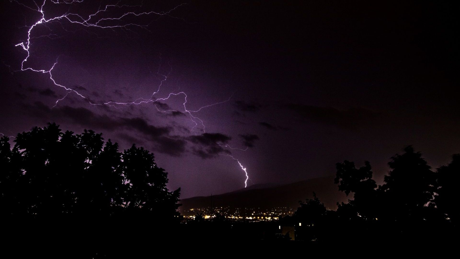 Mъж издъхна затиснат от паднало дърво в близост до село