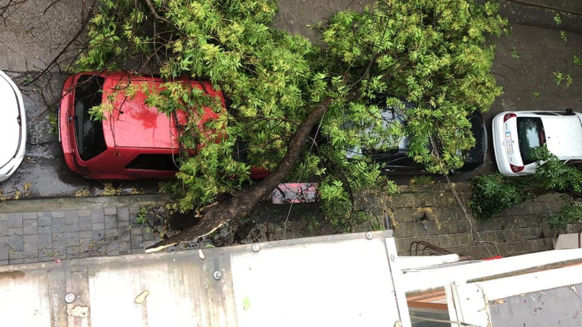 Бурята потроши дървета и коли и във Варна