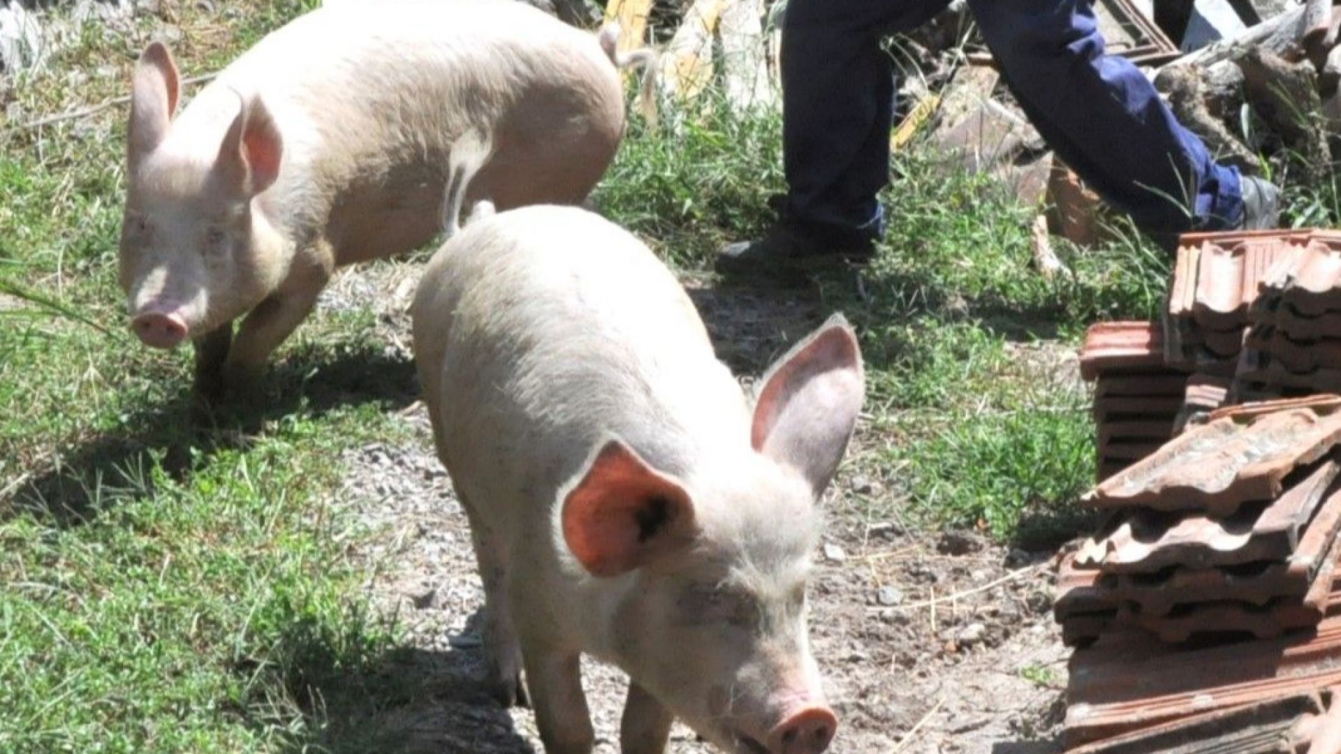 Втора нощ бе затворен главният път Сливен Ямбол от