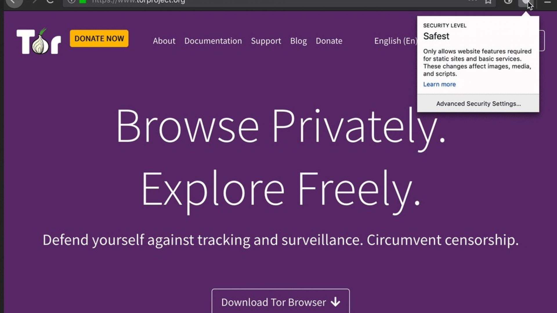 Русия блокира достъпа до браузъра Tor
