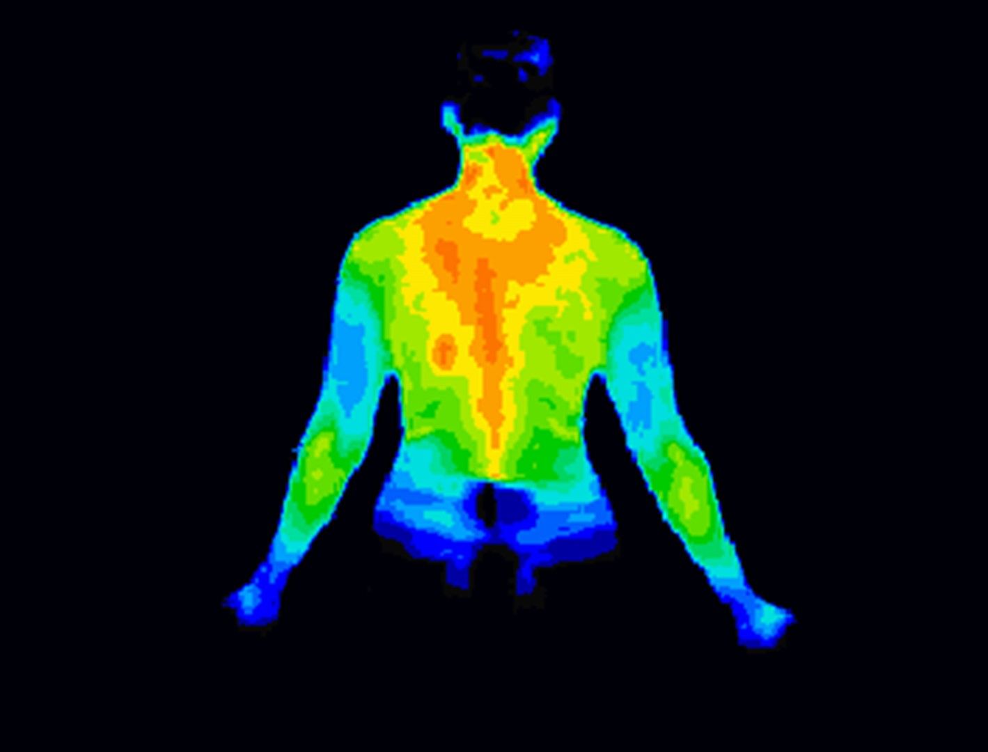 Различните части на тялото ни излъчват с различен интензитет инфрачервена светлина