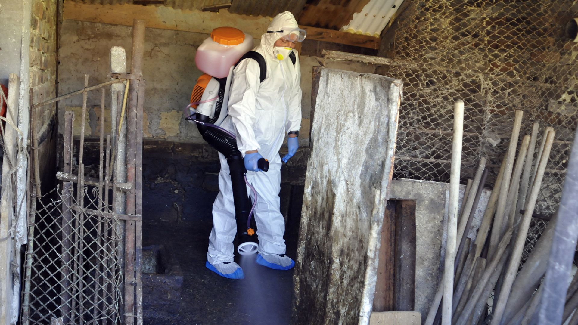 Екипи от ветеринарни специалисти продължават да обезпаразитяването на дворовете на