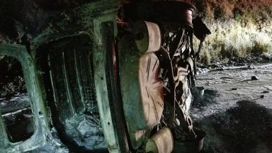 Мечка падна върху полицейска кола в САЩ, тя се обърна и избухна (снимки)